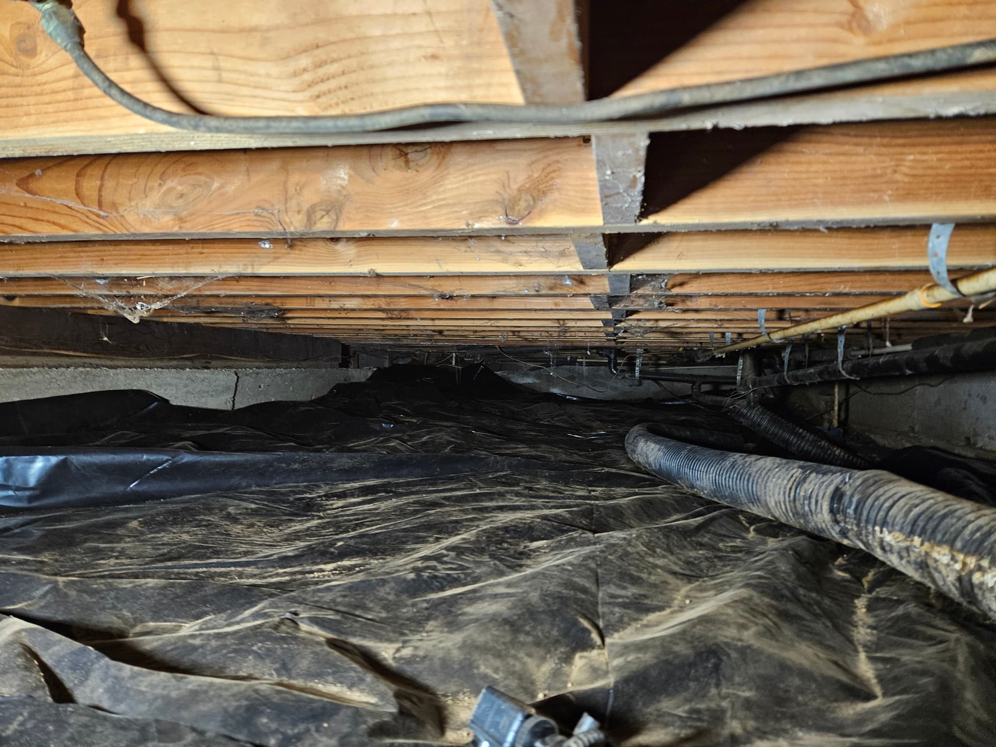 crawl space