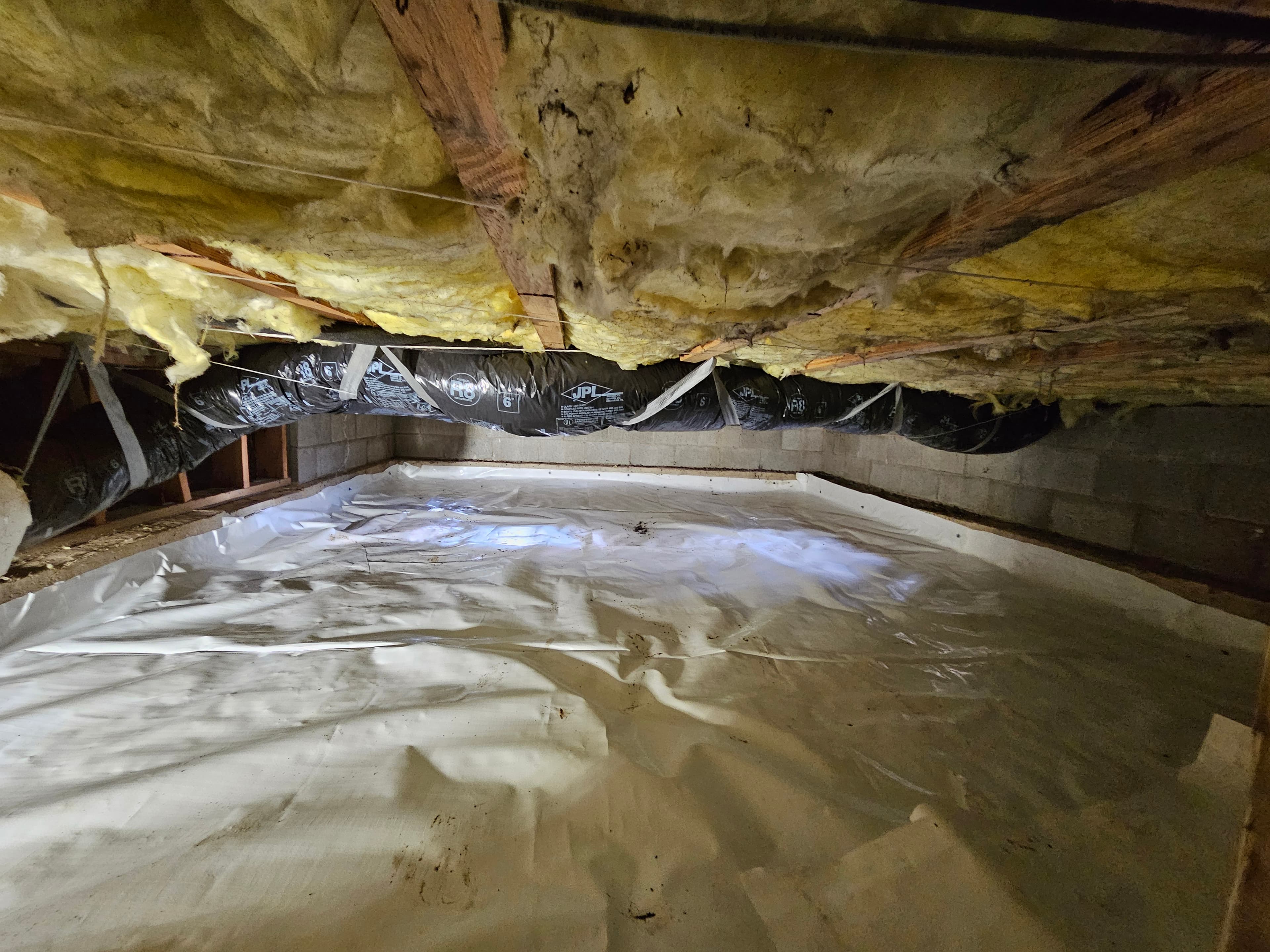 Crawlspace service professional